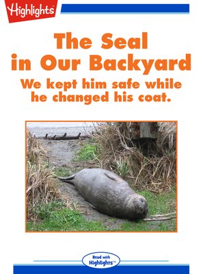 cover image of The Seal in Our Backyard